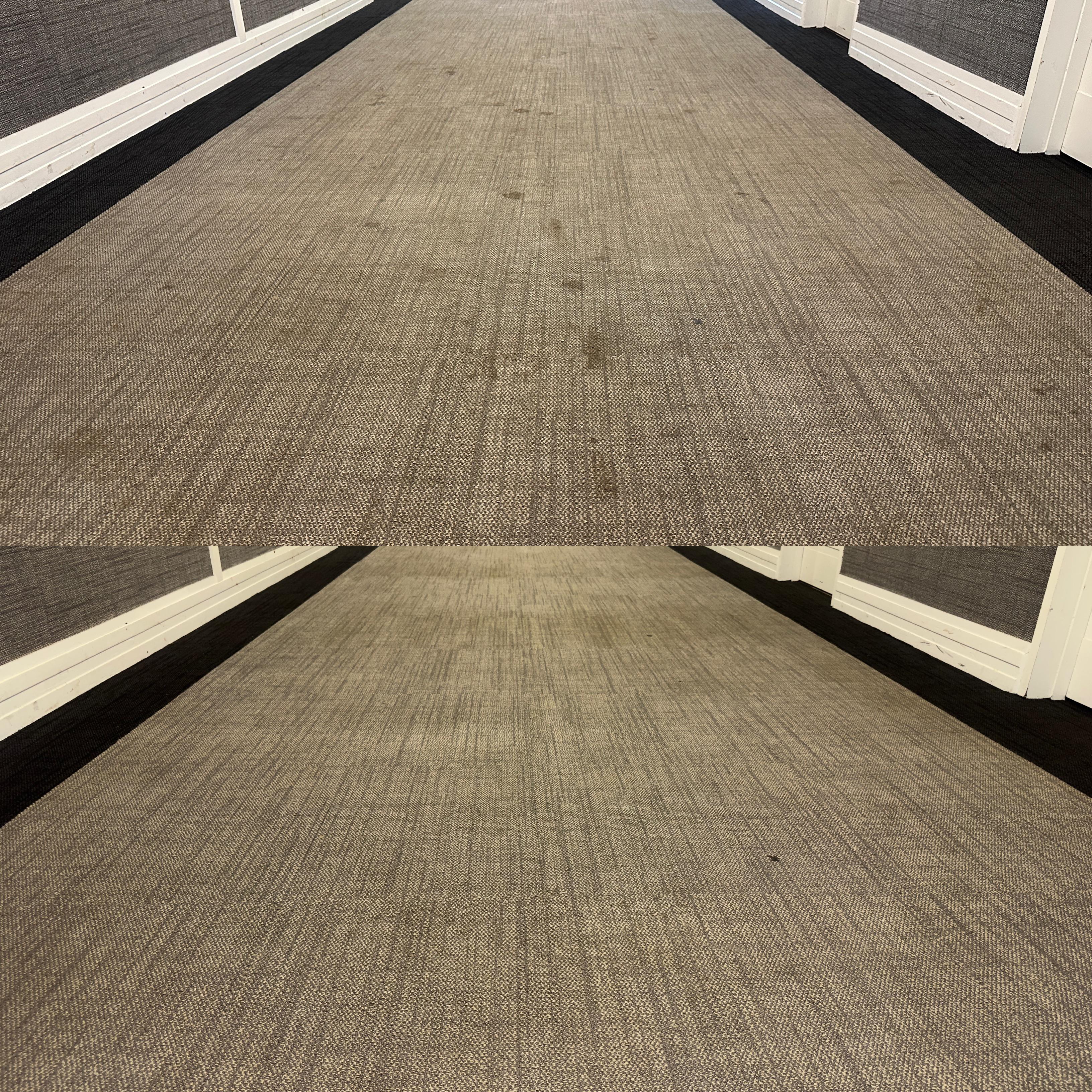 Carpet Steam Cleaning work 4