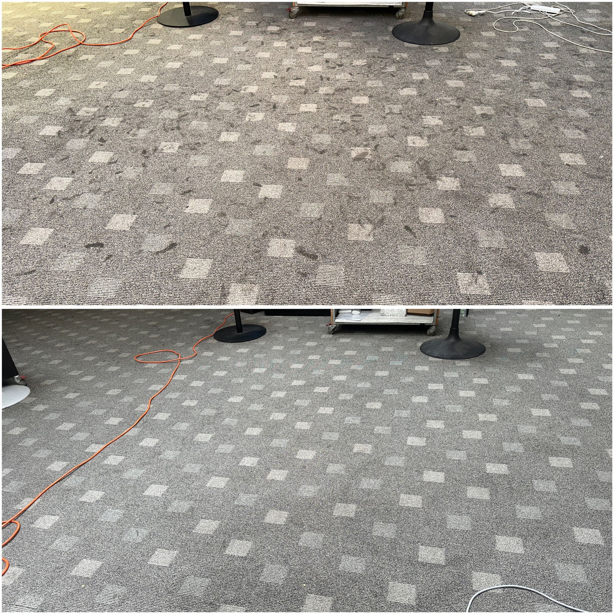 Carpet Steam Cleaning work 6