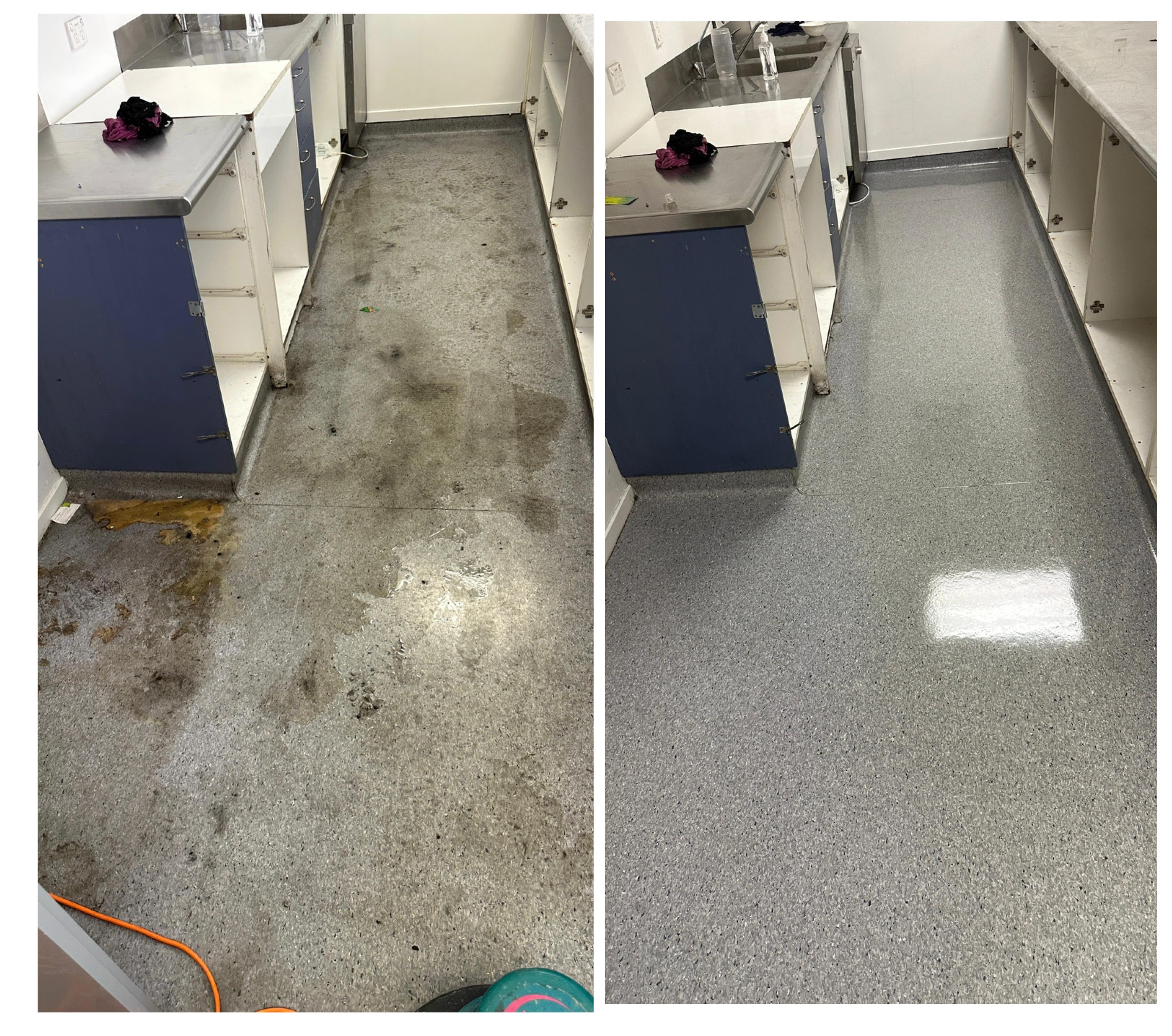 Expert Floor Strip & Polish work 8