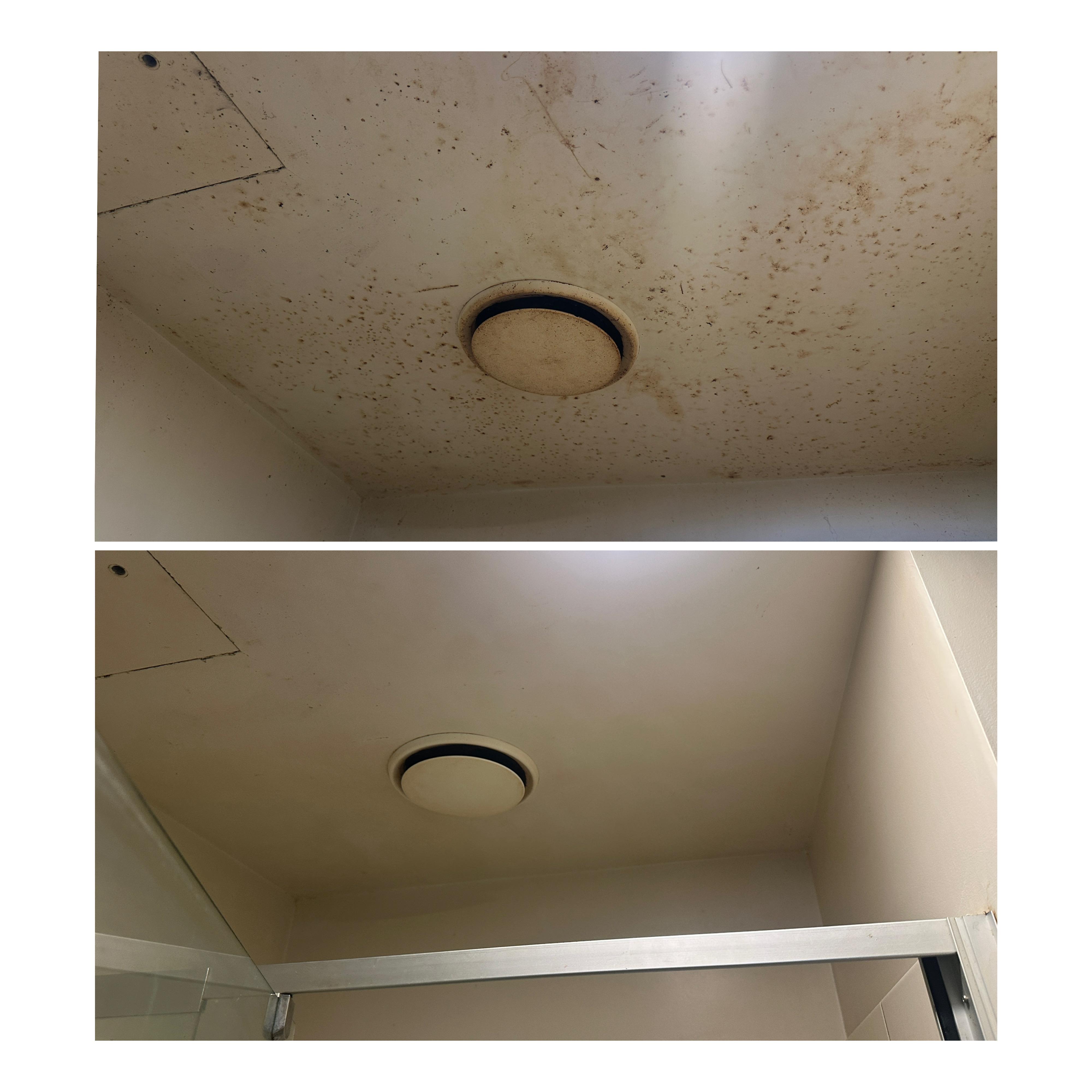 Professional cleaning service 4